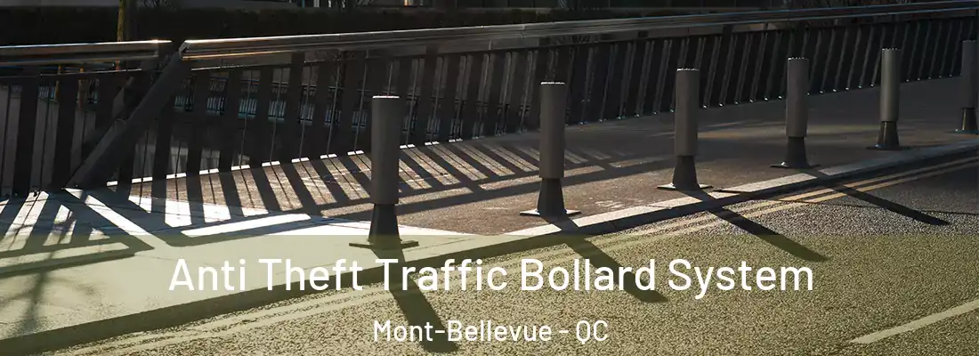  Anti Theft Traffic Bollard System Mont-Bellevue - QC