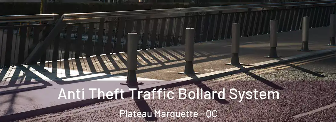  Anti Theft Traffic Bollard System Plateau Marquette - QC