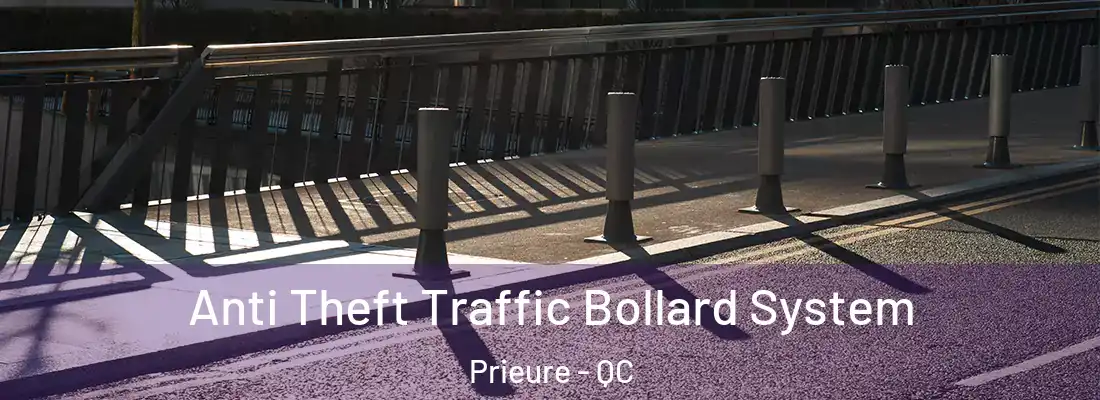  Anti Theft Traffic Bollard System Prieure - QC
