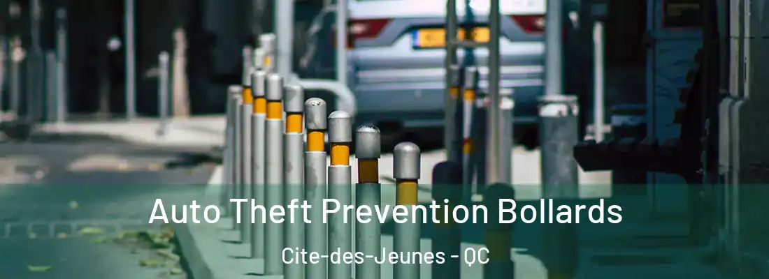  Auto Theft Prevention Bollards Cite-des-Jeunes - QC
