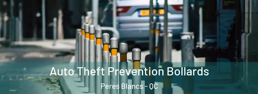 Auto Theft Prevention Bollards Peres Blancs - QC