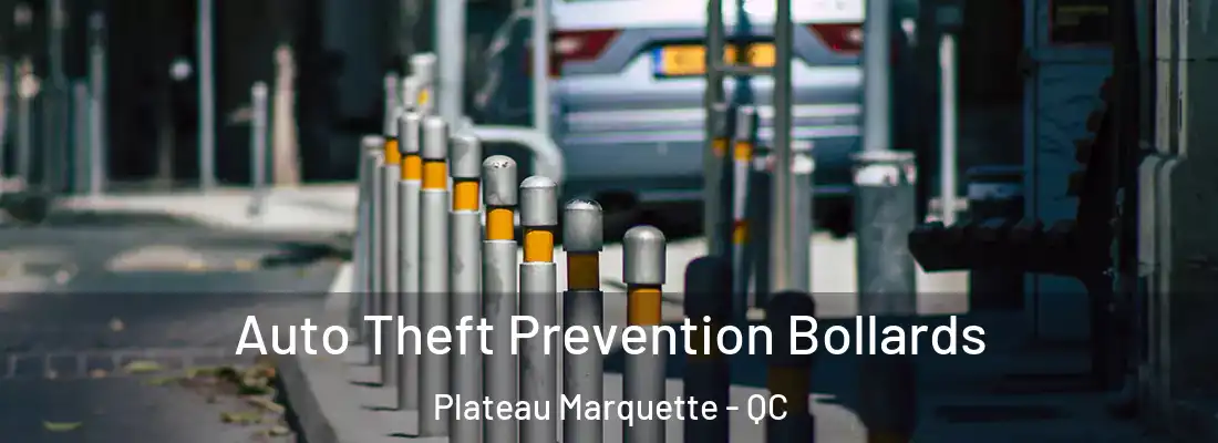  Auto Theft Prevention Bollards Plateau Marquette - QC