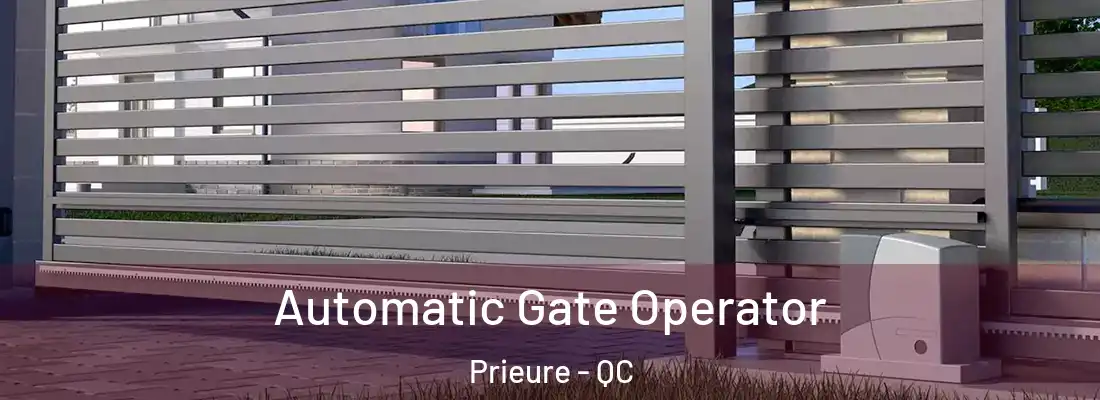  Automatic Gate Operator Prieure - QC