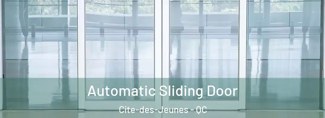  Automatic Sliding Door Cite-des-Jeunes - QC