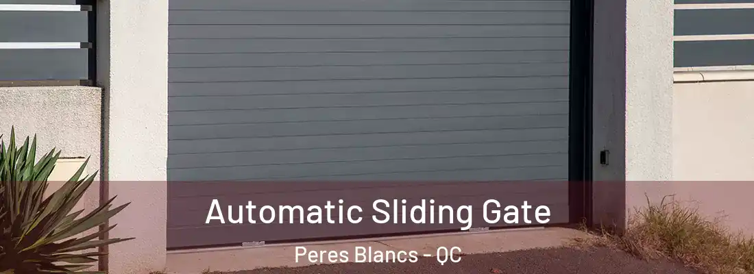  Automatic Sliding Gate Peres Blancs - QC