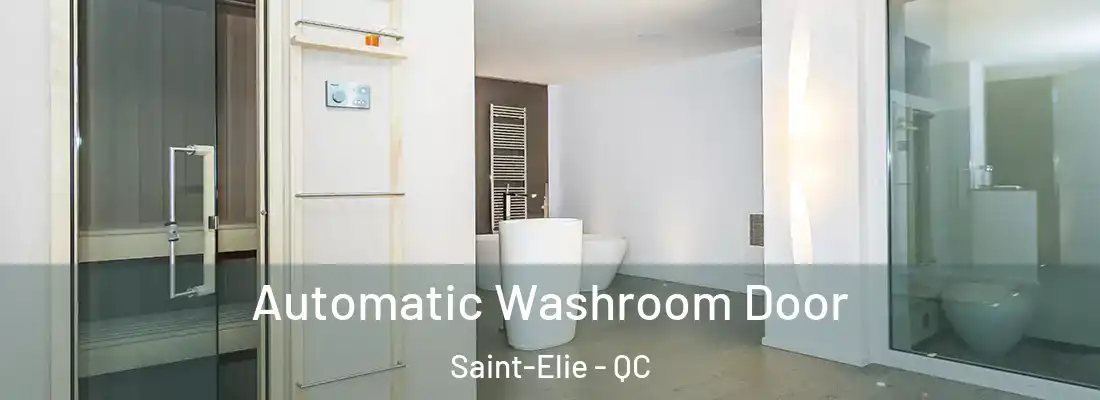 Automatic Washroom Door Saint-Elie - QC