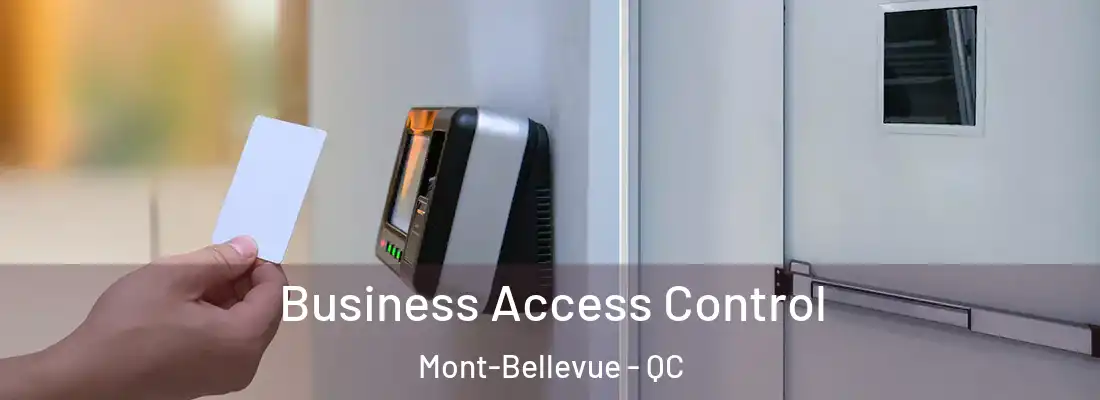  Business Access Control Mont-Bellevue - QC
