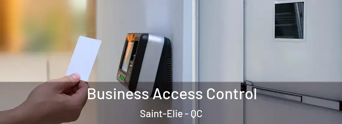  Business Access Control Saint-Elie - QC