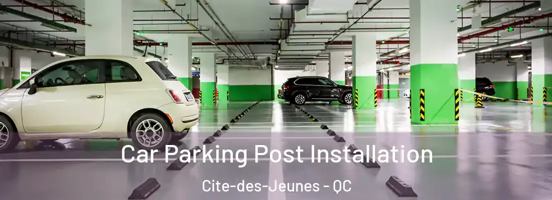 Car Parking Post Installation Cite-des-Jeunes - QC