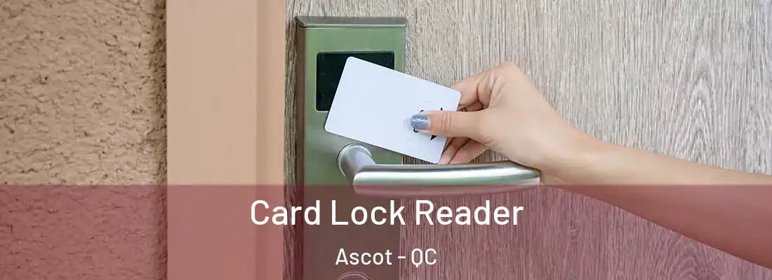  Card Lock Reader Ascot - QC
