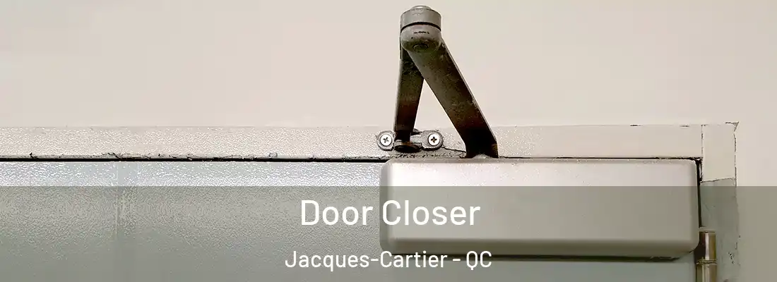  Door Closer Jacques-Cartier - QC