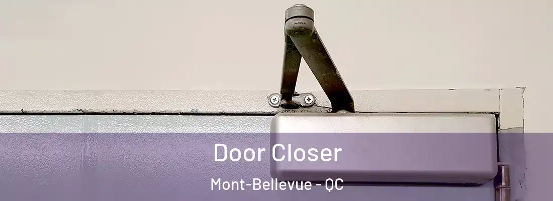  Door Closer Mont-Bellevue - QC