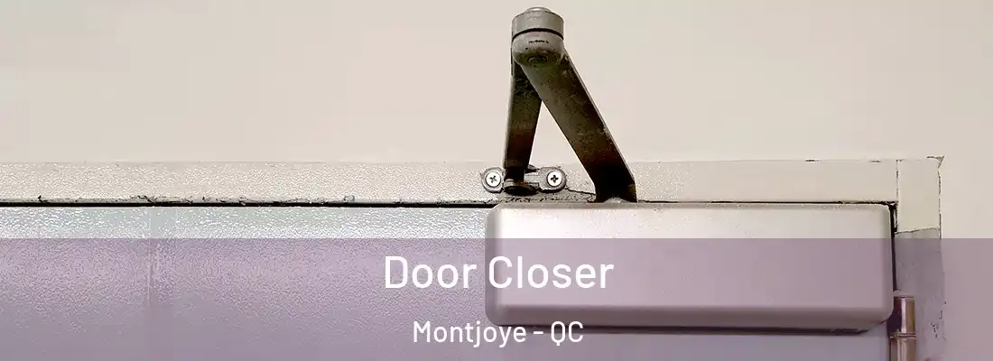  Door Closer Montjoye - QC