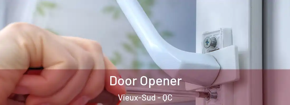  Door Opener Vieux-Sud - QC