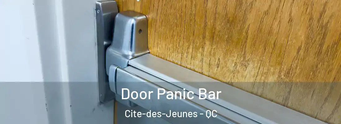  Door Panic Bar Cite-des-Jeunes - QC