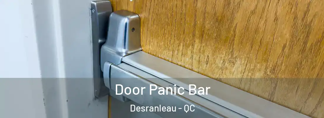  Door Panic Bar Desranleau - QC