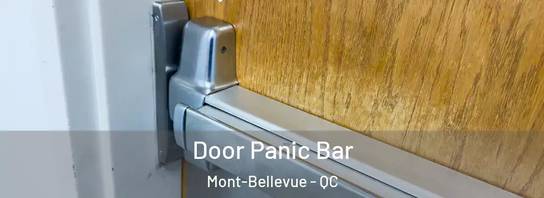  Door Panic Bar Mont-Bellevue - QC