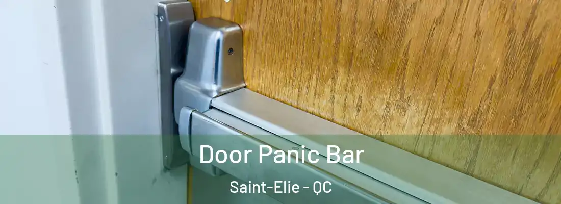  Door Panic Bar Saint-Elie - QC