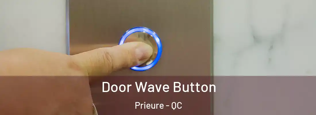  Door Wave Button Prieure - QC