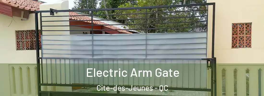  Electric Arm Gate Cite-des-Jeunes - QC