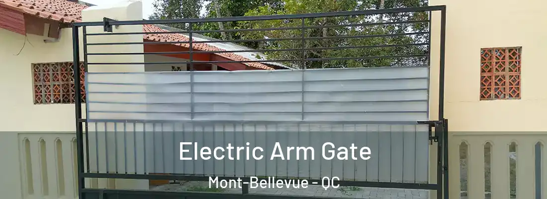  Electric Arm Gate Mont-Bellevue - QC