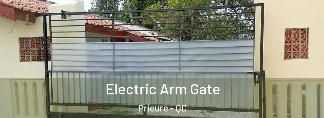  Electric Arm Gate Prieure - QC