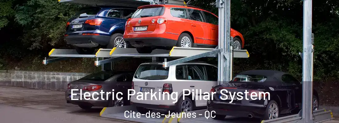  Electric Parking Pillar System Cite-des-Jeunes - QC