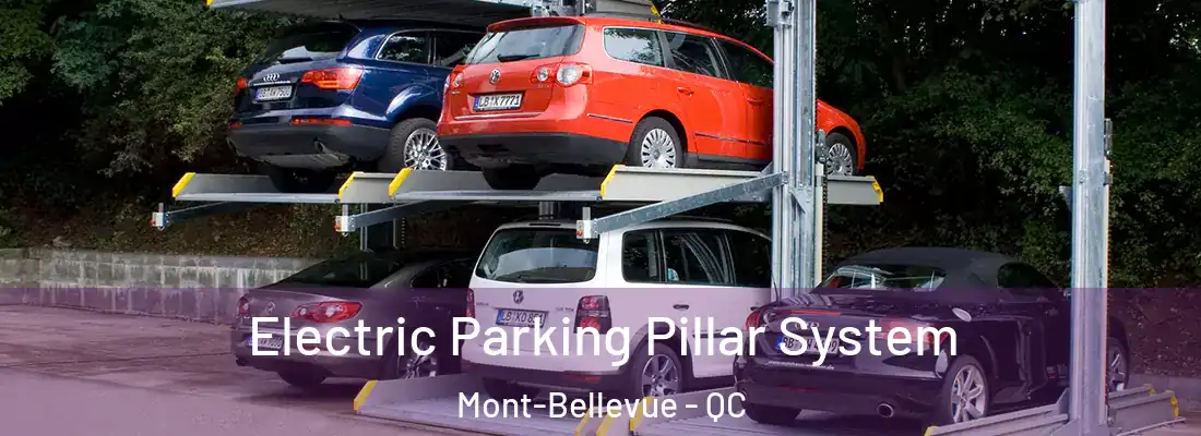  Electric Parking Pillar System Mont-Bellevue - QC
