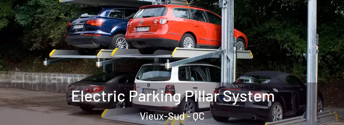  Electric Parking Pillar System Vieux-Sud - QC