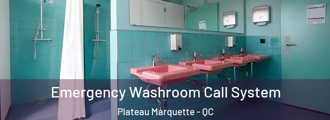  Emergency Washroom Call System Plateau Marquette - QC