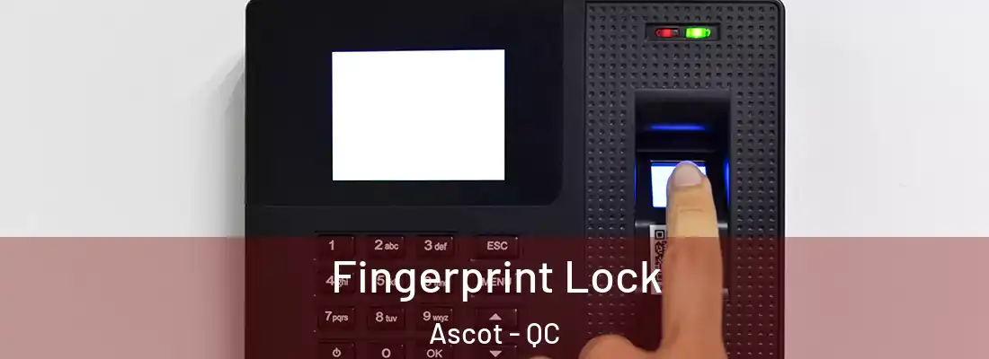  Fingerprint Lock Ascot - QC