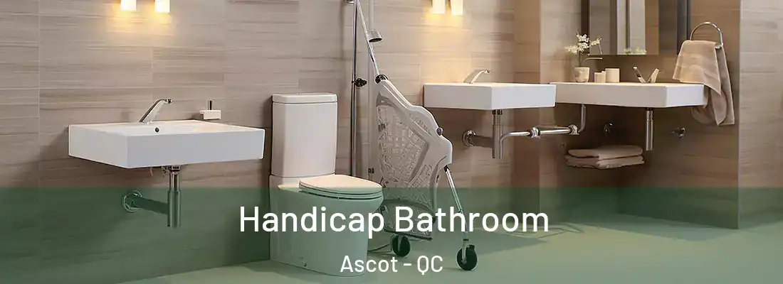  Handicap Bathroom Ascot - QC