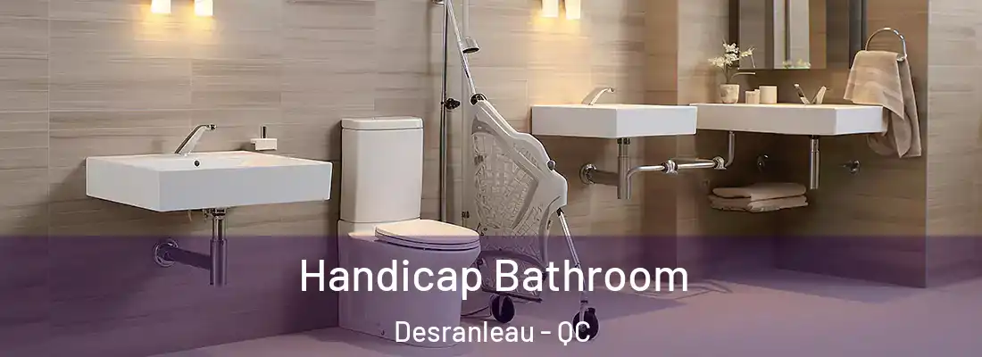  Handicap Bathroom Desranleau - QC