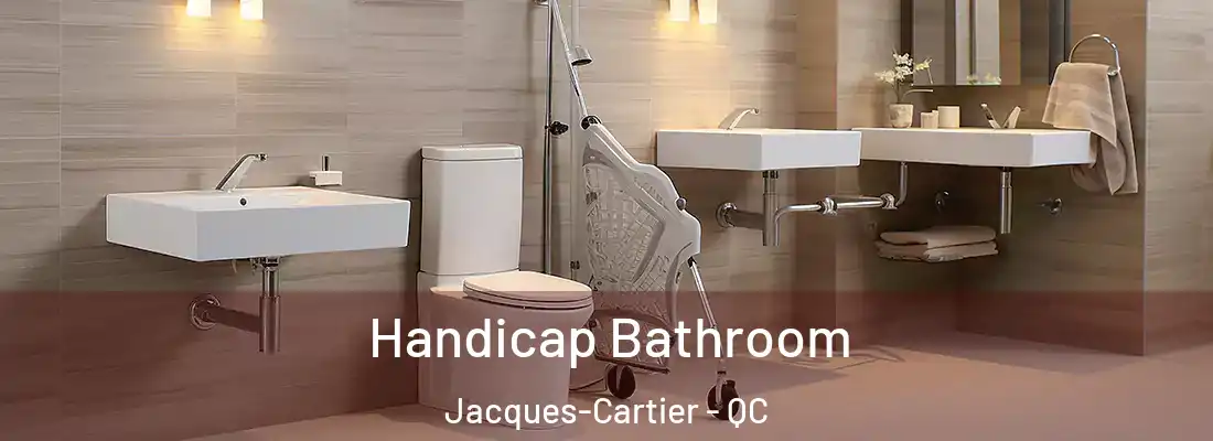  Handicap Bathroom Jacques-Cartier - QC