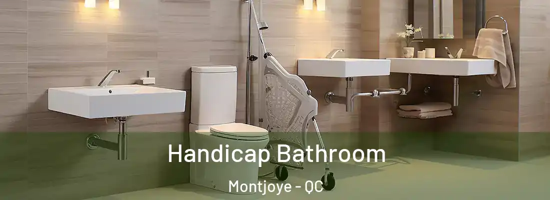  Handicap Bathroom Montjoye - QC