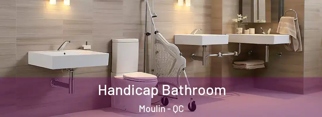  Handicap Bathroom Moulin - QC