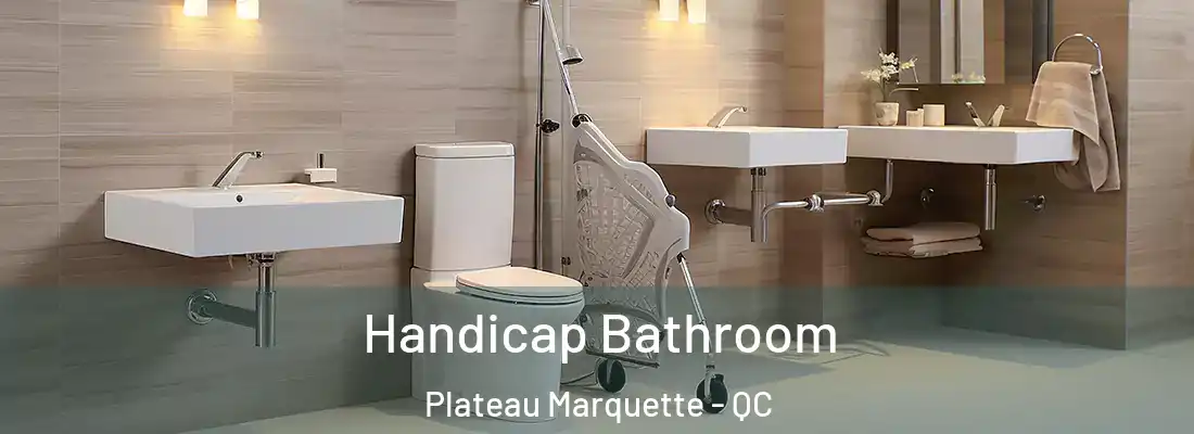  Handicap Bathroom Plateau Marquette - QC
