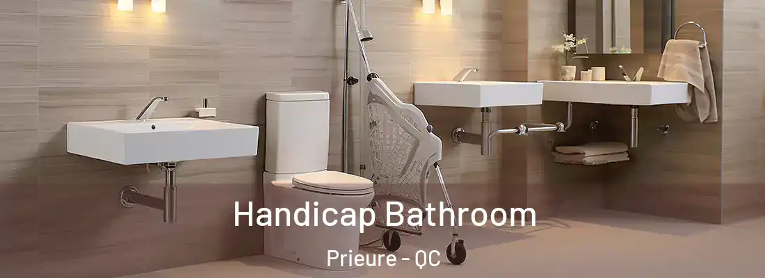  Handicap Bathroom Prieure - QC