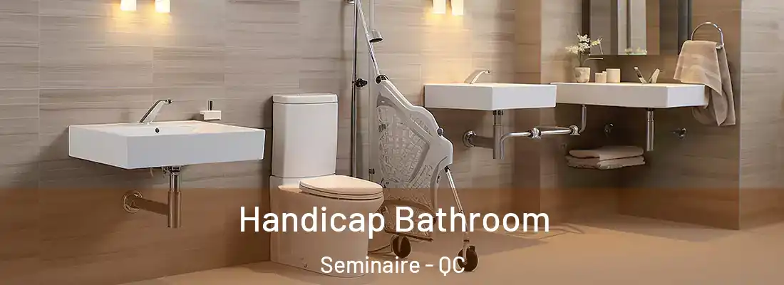  Handicap Bathroom Seminaire - QC