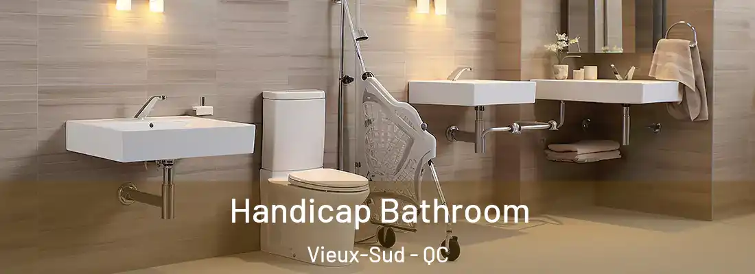  Handicap Bathroom Vieux-Sud - QC