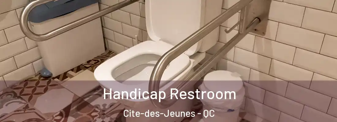  Handicap Restroom Cite-des-Jeunes - QC