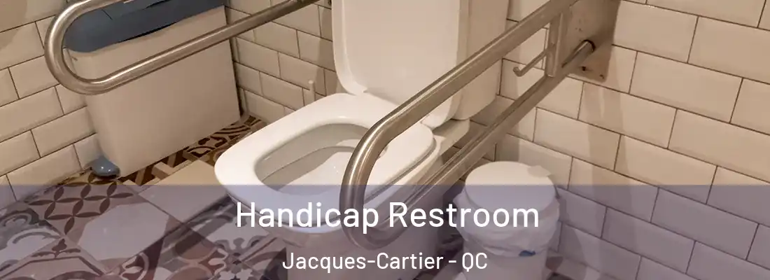  Handicap Restroom Jacques-Cartier - QC