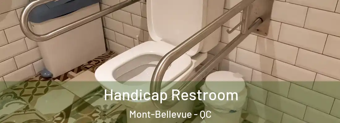 Handicap Restroom Mont-Bellevue - QC