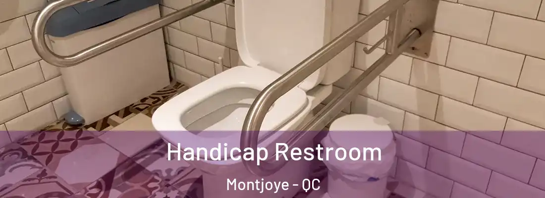  Handicap Restroom Montjoye - QC