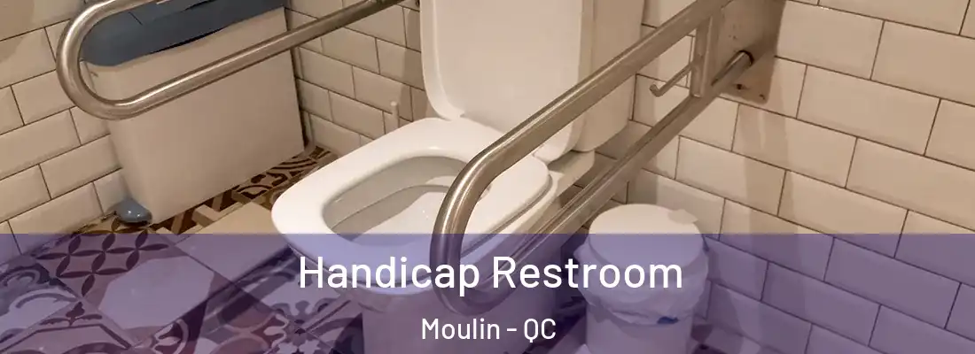  Handicap Restroom Moulin - QC