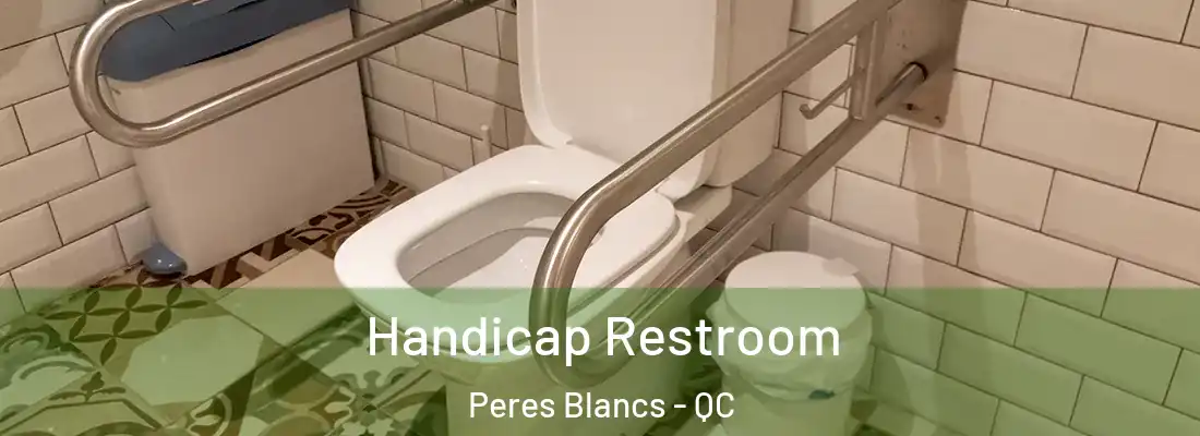  Handicap Restroom Peres Blancs - QC