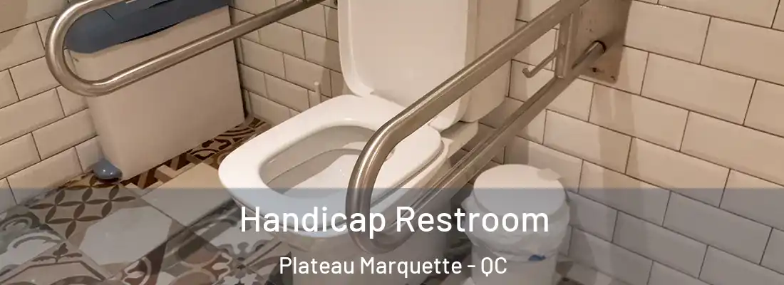  Handicap Restroom Plateau Marquette - QC