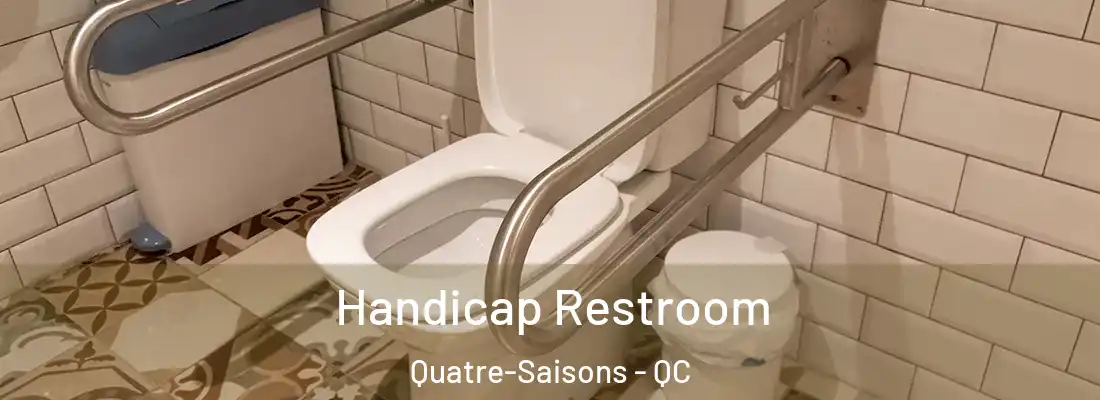  Handicap Restroom Quatre-Saisons - QC