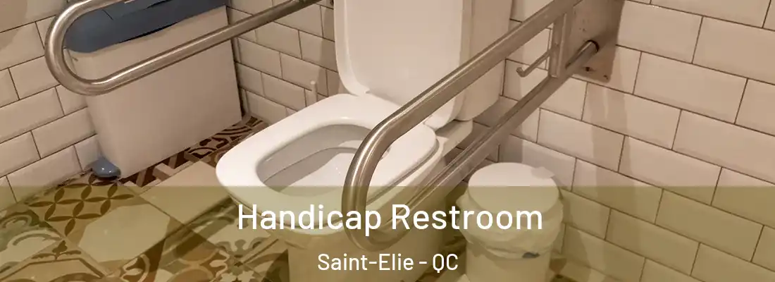  Handicap Restroom Saint-Elie - QC