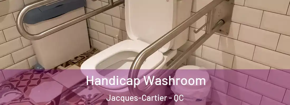  Handicap Washroom Jacques-Cartier - QC